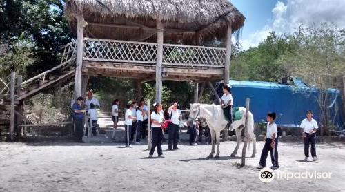 Rancho Universo Heal a Horse Cozumel Horse Sanctuary Non-Profit Organization