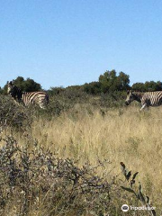 Mafikeng Game Reserve