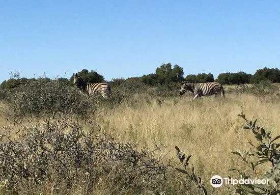 Mafikeng Game Reserve