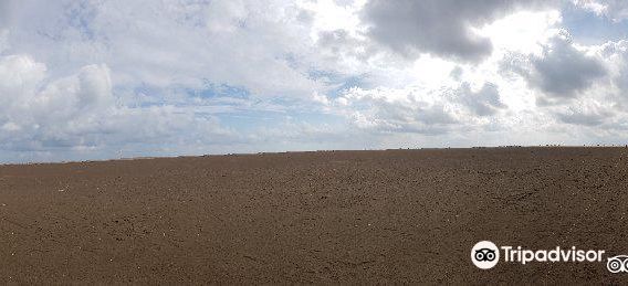 Playa La Punta del Fangar