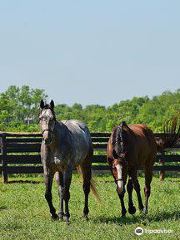 Stonestreet Farm