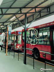 Terminal de Cruceros Quinquela Martín