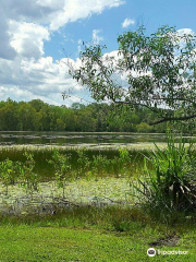 Manton Dam