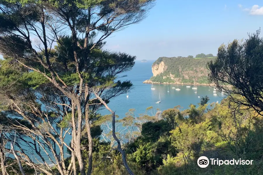 Whitianga Rock Walk