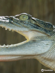 Naturaliste Reptile Park