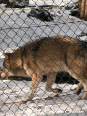 Tierpark Sassnitz