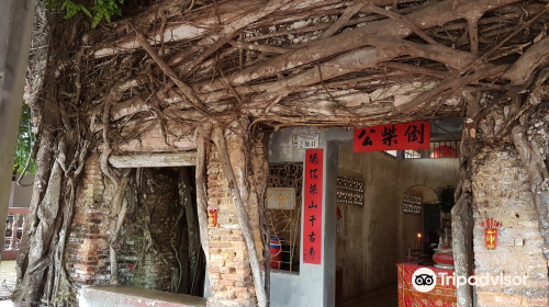 Banyan Tree Temple