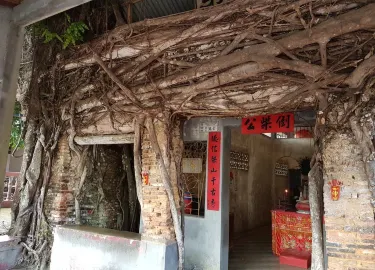 ตันจุงปีนัง