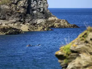 Cornish Rock Tors Ltd