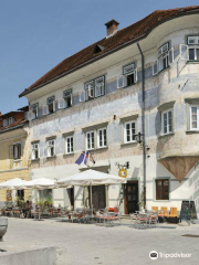 Radovljica Old Town