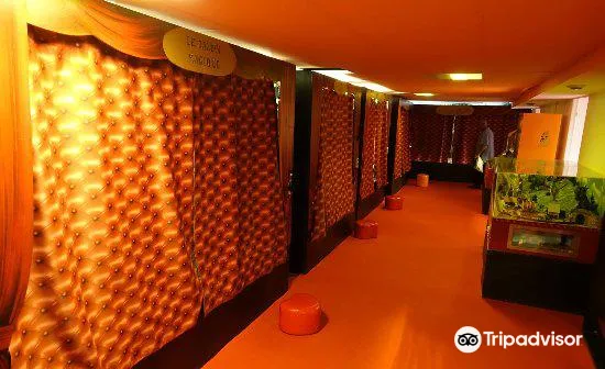 3_Le Museum de Curiosite et de l’Insolite