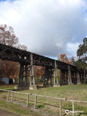 The Prince Alfred Bridge