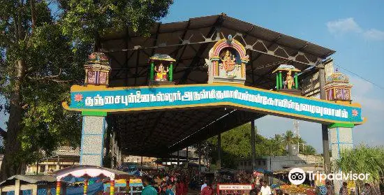 Sri Dharbaranyeswara Swamy Temple