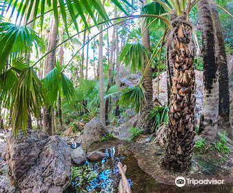 El Questro Wilderness Park - Kununurra Office