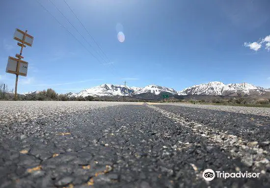 Inyo National Forest