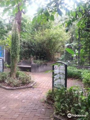 Negros Forests and Ecological Foundation Biodiversity Conservation Center