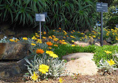 Jardines de Cap Roig