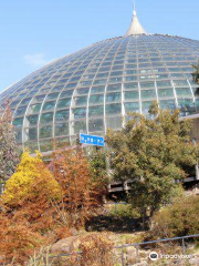 手柄山温室植物園