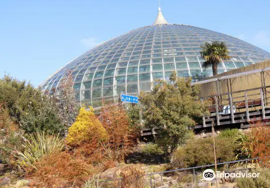 姫路市立手柄山溫室植物園