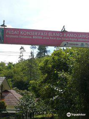 Kamojang Eagle Conservation Center
