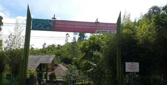 Kamojang Eagle Conservation Center