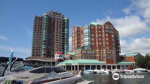 Brockville Municipal Harbour