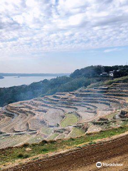 Doya Rice Terraces