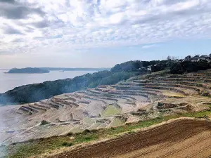 Doya Rice Terraces