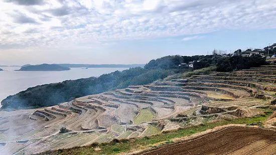 Doya Rice Terraces