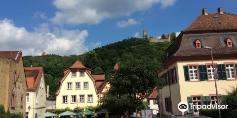 Museum der Stadt Weinheim