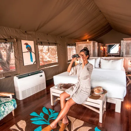 Flameback Eco Lodge
