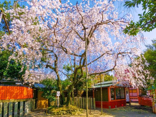 京都のケーヨーデイツー嵯峨店周辺ホテル 21おすすめ宿 Trip Com