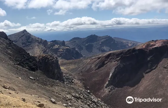 奧阿庫尼中央背包客青年旅舍和小屋酒店