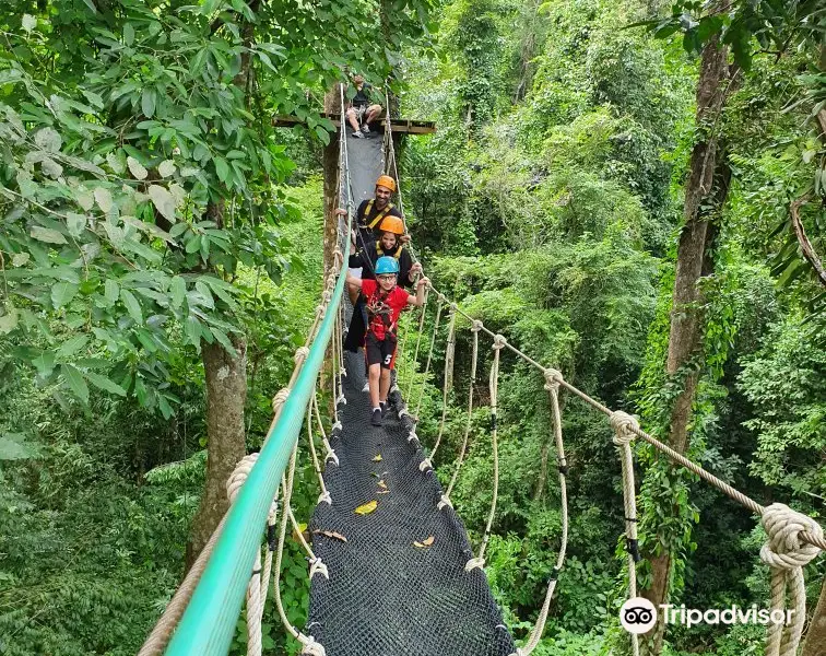 Patong Zipline Adventure