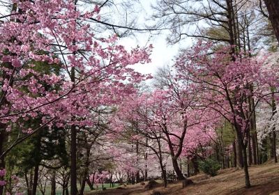 経塚山公園