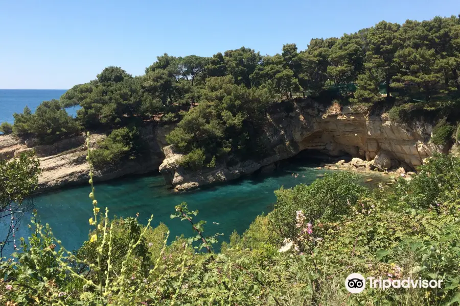 Ladies Beach