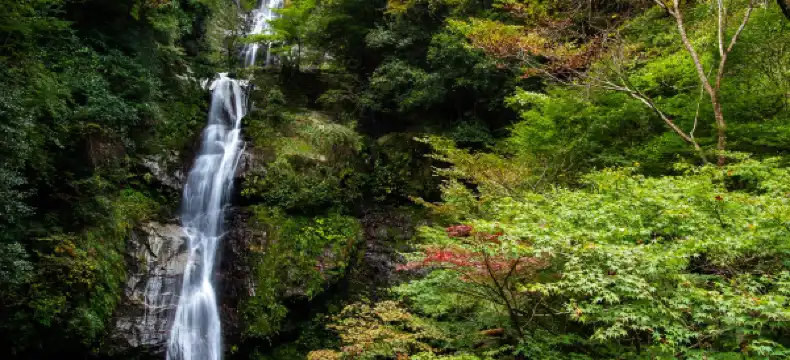つるぎ町のホテル