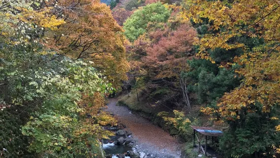 Minedani River Fishing Spot