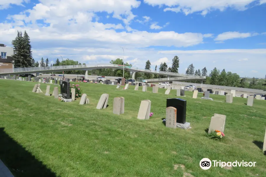 Chinese Cemetery