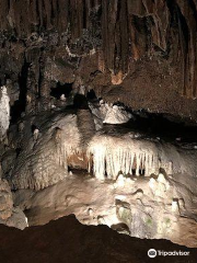 Organ Cave