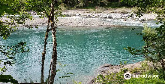 Hoh River