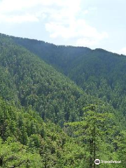 Shimla Reserve Forest Sanctuary