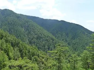 Shimla Reserve Forest Sanctuary