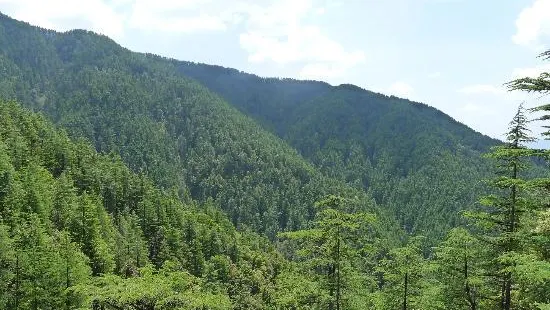 Shimla Reserve Forest Sanctuary