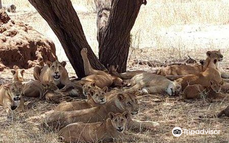 Serengeti Heritage