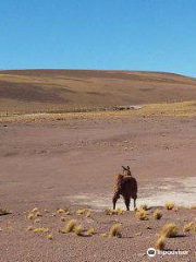 Salar de Coposa