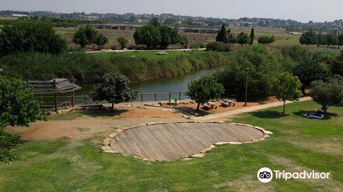 Alexander Stream Hof Bet Yanai National Park