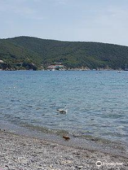 Spiaggia dell'Enfola (li)