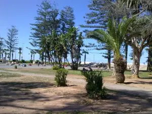 Jardin Mohammed V