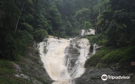 Thompson Falls